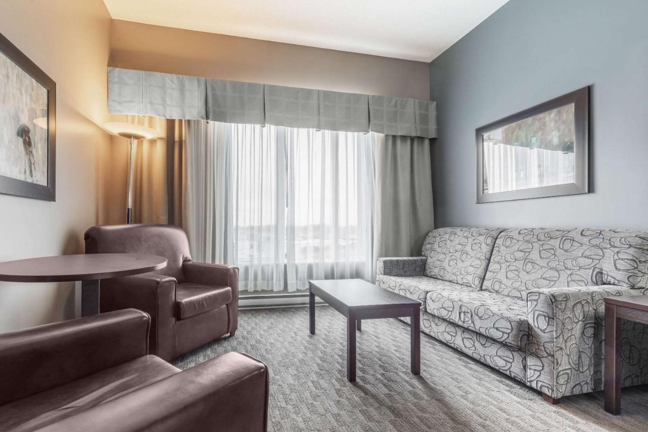 Quality & Hotel
